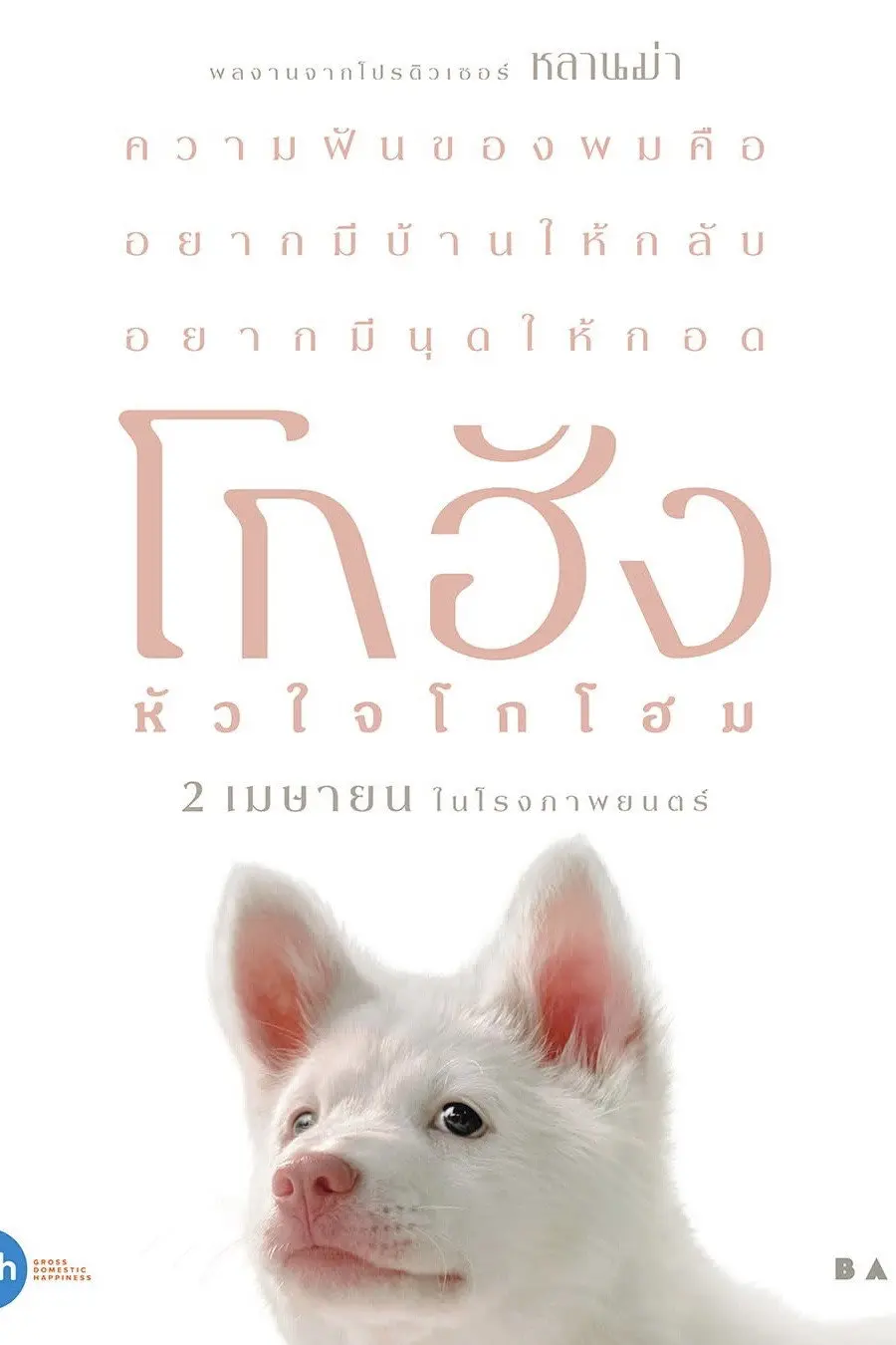 โกฮัง..หัวใจโกโฮม (2026) Gohan